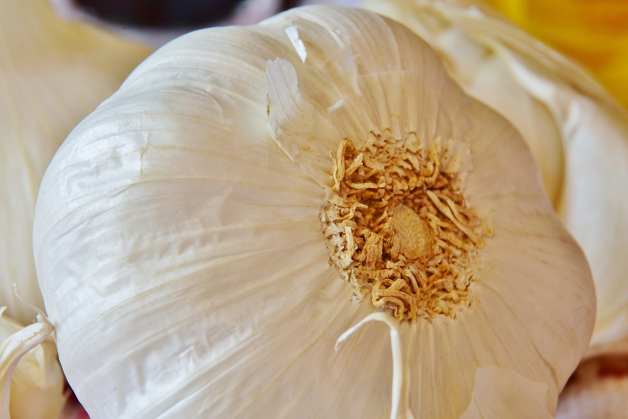 Ail Magique : La Bombe Gourmande pour Sublimer Vos Recettes