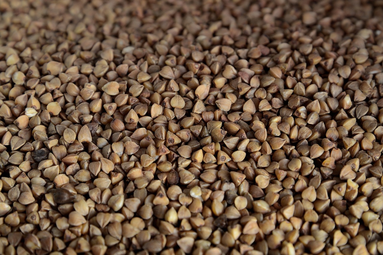 découvrez le sarrasin, une céréale sans gluten riche en fibres et en nutriments. apprenez ses bienfaits, ses utilisations en cuisine et pourquoi l'intégrer dans votre alimentation quotidienne.
