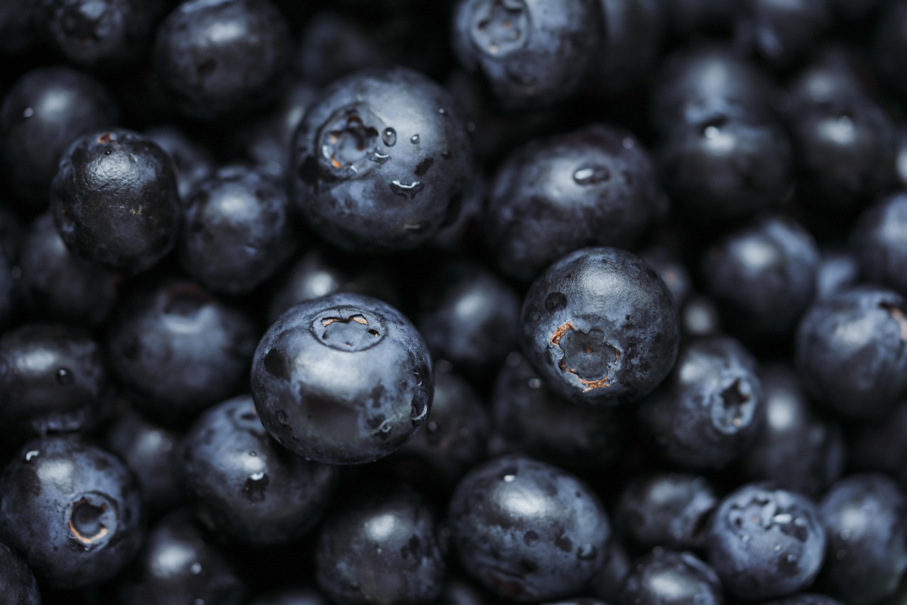 découvrez des conseils, recettes et astuces pour adopter un mode de vie healthy : alimentation équilibrée, exercice physique et bien-être au quotidien.