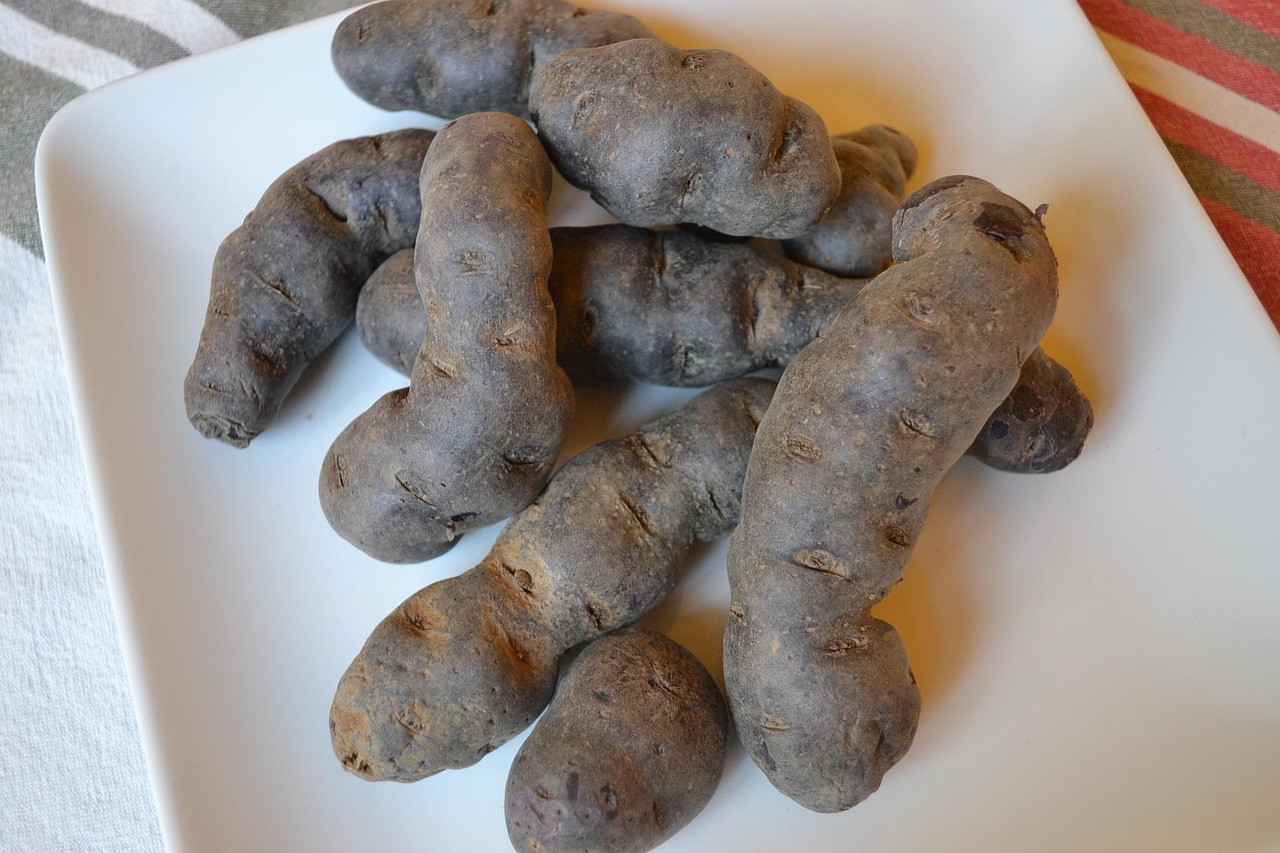 découvrez tout sur les pommes de terre vitelottes : origine, goût unique, utilisations en cuisine et bienfaits nutritionnels. une variété violette à savourer !